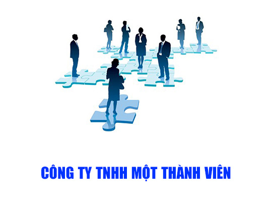 Quyền, nghĩa vụ của Chủ sở hữu Công ty TNHH MTV 19 Chủ sở hữu Công ty TNHH MTV