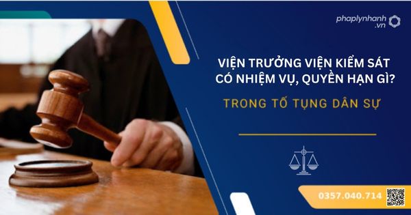 Viện trưởng Viện kiểm sát có nhiệm vụ, quyền hạn gì? 24 Viện trưởng Viện kiểm sát - Tư vấn, hỗ trợ pháp lý nhanh