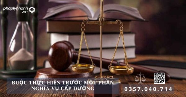 Buộc thực hiện trước một phần nghĩa vụ cấp dưỡng - Tư vấn, hỗ trợ pháp lý nhanh