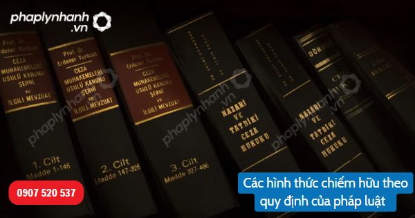 Các hình thức chiếm hữu được quy định trong Bộ luật Dân sự 2015? 1 Các hình thức chiếm hữu theo quy định của pháp luật-Hỗ trợ, tư vấn pháp lý nhanh