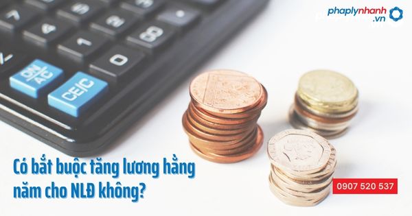 Việc tăng lương hằng năm cho người lao động có bắt buộc không? 5 Có bắt buộc phải tăng lương hằng năm cho người lao động - Tư vấn, hỗ trợ pháp lý nhanh