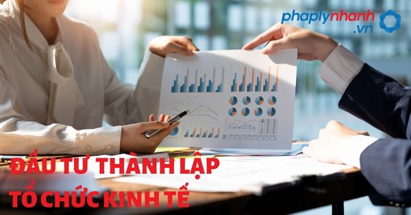 Đầu tư thành lập tổ chức kinh tế được quy định như thế nào? 1 Một trong số đó và được ứng dụng nhiều tại Việt Nam là hình thức đầu tư thành lập tổ chức kinh tế.