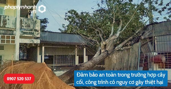 Nghĩa vụ của người có cây cối có nguy cơ gây thiệt hại được quy định như thế nào? 1 Đảm bảo an toàn trong trường hợp cây cối, công trình có nguy cơ gây thiệt hại(1)-Hỗ trợ, tư vấn pháp lý nhanh