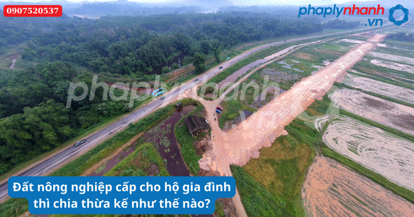 Đất nông nghiệp cấp cho hộ gia đình thì chia thừa kế như thế nào? 1 Đất nông nghiệp cấp cho hộ gia đình thì chia thừa kế như thế nào-Hỗ trợ tư vấn pháp lý nhanh