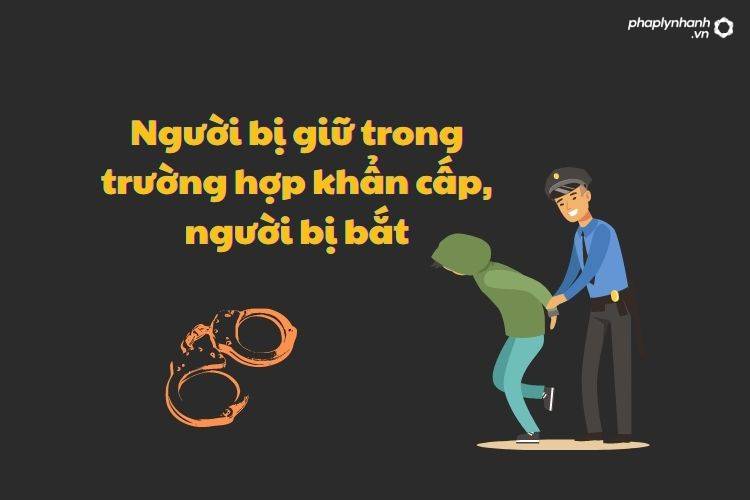 Người bị giữ trong trường hợp khẩn cấp, người bị bắt là ai? 13 Người bị giữ trong trường hợp khẩn cấp, người bị bắt - Tư vấn, hỗ trợ pháp lý nhanh