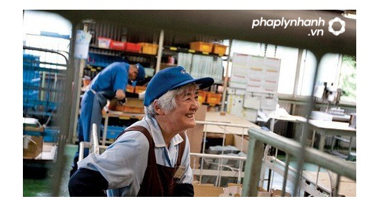 Quy định pháp luật về người lao động cao tuổi như thế nào 2 Người lao động cao tuổi 2 - Luật sư ADB Saigon