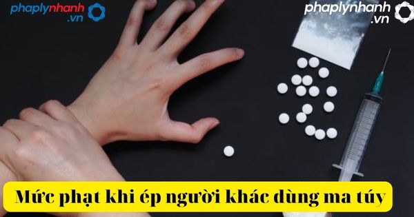 Vụ bé trai bị ép hút ma túy, Mức phạt đối với mẹ ruột và người tình như thế nào 3 bé trai bị ép hút ma túy-tư vấn, hỗ trợ pháp lý nhanh