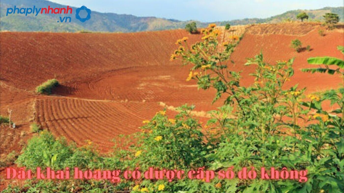 Đất khai hoang có được cấp sổ đỏ không? 15 đất khai hoang-tư vấn, hỗ trợ pháp lý nhanh