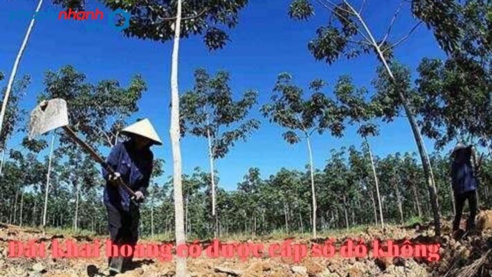 Đất khai hoang có được cấp sổ đỏ không? 2 đất khai hoang-tư vấn, hỗ trợ pháp lý nhanh