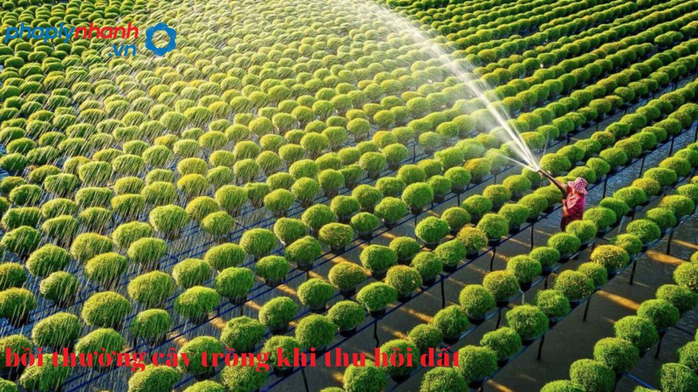 Khi thu hồi đất thì cây trồng có được bồi thường? 21 cây trồng-tư vấn hỗ trợ pháp lý nhanh