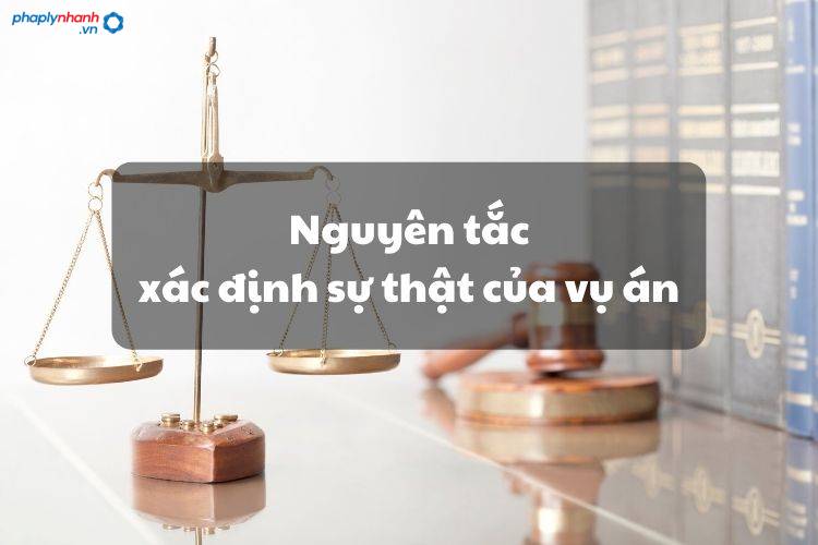 Nguyên tắc xác định sự thật của vụ án - Tư vấn, hỗ trợ pháp lý nhanh