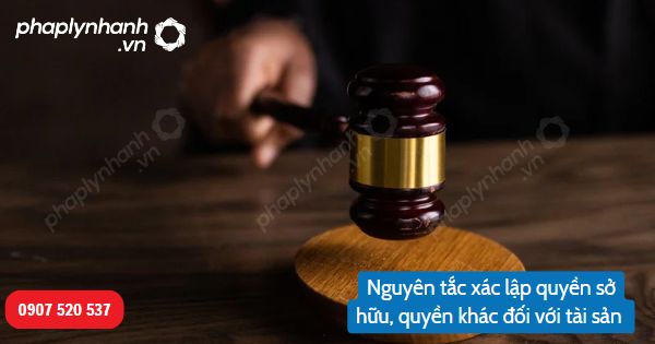 Nguyên tắc xác lập quyền sở hữu, quyền khác đối với tài sản theo quy định của Bộ luật Dân sự 2015? 1 Nguyên tắc xác lập quyền sở hữu, quyền khác đối với tài sản-Hỗ trợ, tư vấn pháp lý nhanh