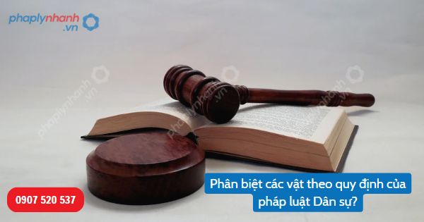 Phân biệt vật tiêu hao và vật không tiêu hao, vật cùng loại và vật đặc định, vật đồng bộ theo quy định của Bộ luật Dân sự 2015? 1 https://adbsaigon.com/phan-biet-vat-cung-loai-va-vat-dac-dinh/