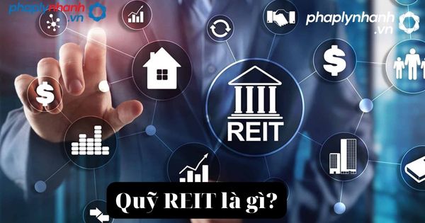 Phân loại những hình thức quỹ REIT đang có hiện nay 2 Quỹ REIT-tư vấn, hỗ trợ pháp lý nhanh.jpg...bn