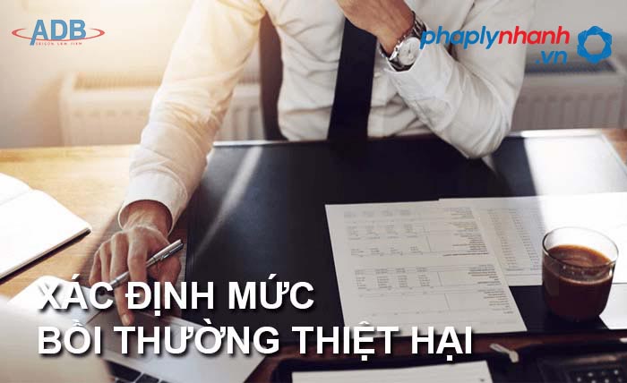 Quy định bồi thường thiệt hại - Tư vấn, hỗ trợ pháp lý nhanh
