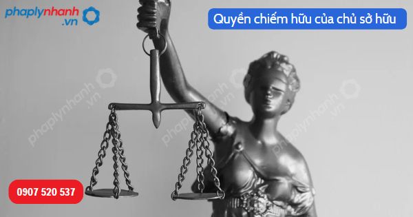 Quyền chiếm hữu của chủ sở hữu được Bộ luật Dân sự 2015 quy định như thế nào? 1 Quyền chiếm hữu của chủ sở hữu-Hỗ trợ, tư vấn pháp lý nhanh