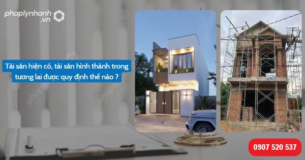 Tài sản hiện có, tài sản hình thành trong tương lai theo quy định trong Bộ luật Dân sự 2015? 1 Tài sản hiện có, tài sản hình thành trong tương lai quy định như thế nào-Hỗ trợ, tư vấn pháp lý nhanh