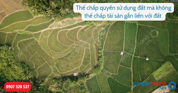 Thế chấp quyền sử dụng đất mà không thế chấp tài sản gắn liền với đất quy định như thế nào? 1 Thế chấp quyền sử dụng đất mà không thế chấp tài sản gắn liền với đất-Hỗ trợ, tư vấn pháp lý nhanh