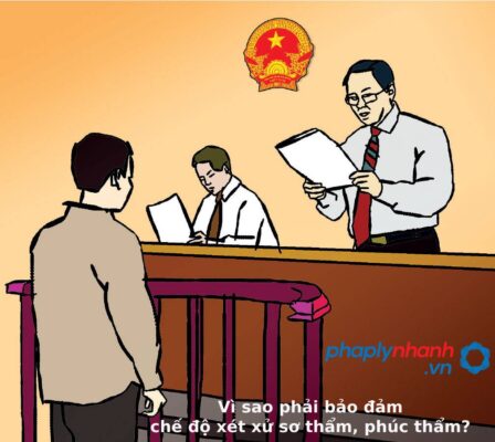 Vì sao phải bảo đảm chế độ xét xử sơ thẩm, phúc thẩm? 1 bảo đảm chế độ xét xử - Tư vấn, hỗ trợ pháp lý nhanh