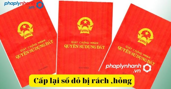cấp lại sổ đỏ-tư vấn, hỗ trợ pháp lý nhanh
