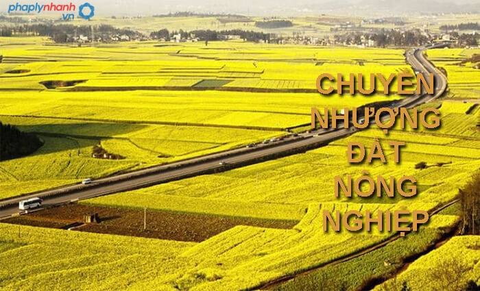 Thủ tục giao đất nông nghiệp đối với hộ gia đình, cá nhân được pháp luật quy định như thế nào? 24 Thủ tục giao đất nông nghiệp-tư vấn, hỗ trợ pháp lý nhanh