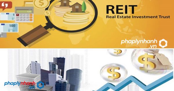 loại hình quỹ REIT-tư vấn, hỗ trợ pháp lý nhanh.jpg,.,