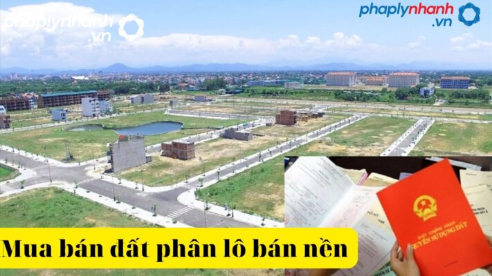 Các thủ đoạn lừa đảo trong mua bán đất phân lô bán nền 2 mua bán đất phân lô bán nền-tư vấn, hỗ trợ pháp lý nhanh.jpgdghf