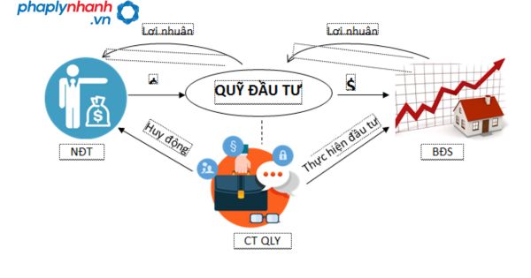 Ưu điểm và nhược điểm của quỹ đầu tư bất động sản- quỹ REIT 7 quỹ đầu tư bất động sản-tư vấn, hỗ trợ pháp lý nhanh.jpg,.,