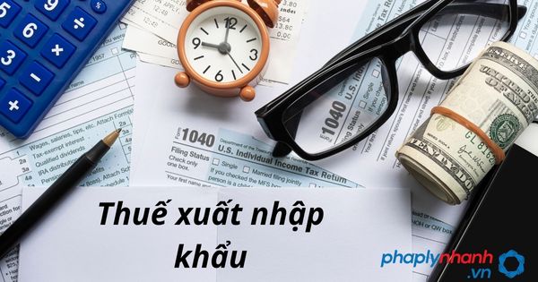 7 loại thuế cơ bản phải kê khai và đóng sau khi thành lập công ty 3 thuế xuất nhập khẩu - tư vấn hỗ trợ pháp lý nhanh