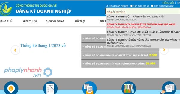 Cách Tra cứu tên công ty, tra cứu ở đâu? 2 tra cứu tên công ty - tu vấn hỗ trợ pháp lý nhanh