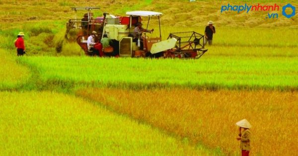 đất ruộng-tư vấn, hỗ trợ pháp lý nhanh