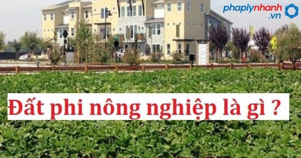 đất phi nông nghiệp- tư vấn, hỗ trợ pháp lý nhanh