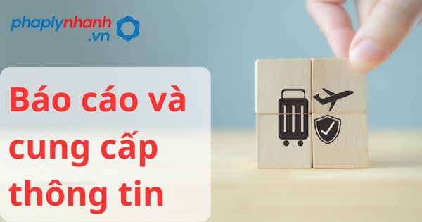 Báo cáo và cung cấp thông tin theo luật kinh doanh bảo hiểm 2022? 31 Báo cáo và cung cấp thông tin - hỗ trợ, tư vấn pháp lý nhanh