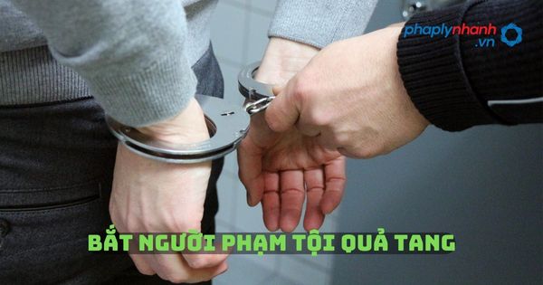 Bắt người phạm tội quả tang? 1 Bắt người phạm tội quả tang - Tư vấn, hỗ trợ pháp lý nhanh