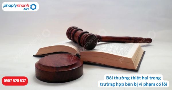 Bồi thường thiệt hại trong trường hợp bên bị vi phạm có lỗi được quy định như thế nào? 1 Bồi thường thiệt hại trong trường hợp bên bị vi phạm có lỗi-Hỗ trợ, tư vấn pháp lý nhanh