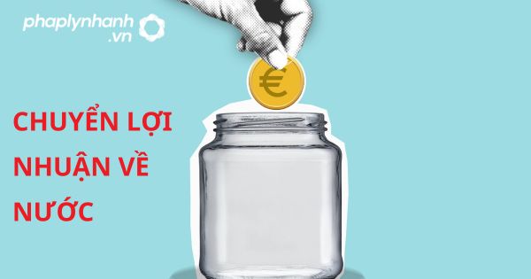 Quy định về Chuyển lợi nhuận về nước? 13 CHUYỂN LỢI NHUẬN VỀ NƯỚC - HỖ TRỢ, TƯ VẤN PHÁP LÝ NHANH