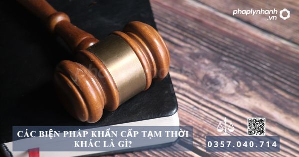 Các biện pháp khẩn cấp tạm thời khác là gì? 1 Các biện pháp khẩn cấp tạm thời khác là gì - Tư vẫn, hỗ trợ pháp lý nhanh