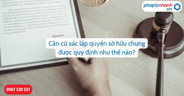 Căn cứ xác lập quyền sở hữu chung được quy định như thế nào? 1 Căn cứ xác lập quyền sở hữu chung được quy định như thế nào-Hỗ trợ, tư vấn pháp lý nhanh