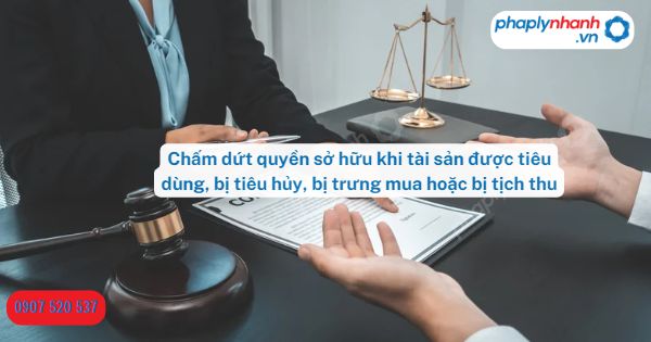 Chấm dứt quyền sở hữu khi tài sản được tiêu dùng, bị tiêu hủy, bị trưng mua hoặc bị tịch thu 1 Chấm dứt quyền sở hữu khi tài sản được tiêu dùng, bị tiêu hủy, bị trưng mua hoặc bị tịch thu-Hỗ trợ, tư vấn pháp lý nhanh