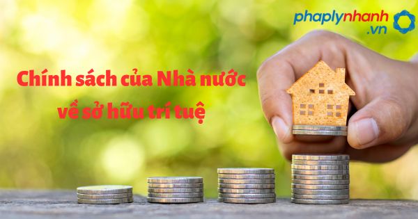 Chính sách sở hữu trí tuệ được nhà nước quy định như thế nào theo luật sở hữu trí tuệ sửa đổi bổ sung 2022? 1 Chính sách của Nhà nước về sở hữu trí tuệ - hỗ trợ, tư vấn pháp lý nhanh