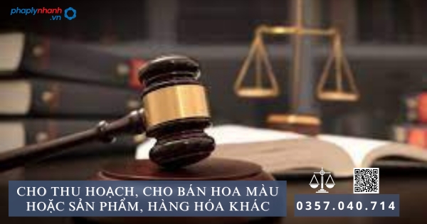 Cho thu hoạch, cho bán hoa màu hoặc sản phẩm, hàng hóa khác 1 Cho thu hoạch - Tư vấn, hỗ trợ pháp lý nhanh