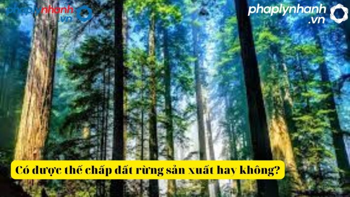 Có được thế chấp đất rừng sản xuất hay không? 1 Có được thế chấp đất rừng sản xuất hay không-tư vấn hỗ trợ pháp lý nhanh