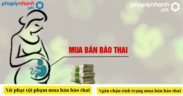 Mua bán bào thai bị xử phạt như thế nào? 1 Mua bán bào thai-tư vấn, hỗ trợ pháp lý nhanh
