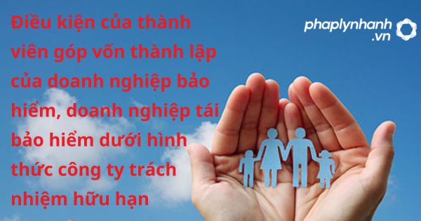 Điều kiện của thành viên góp vốn thành lập của doanh nghiệp bảo hiểm, doanh nghiệp tái bảo hiểm dưới hình thức công ty trách nhiệm hữu hạn theo luật kinh doanh bảo hiểm 2022? 1 Điều kiện của thành viên góp vốn thành lập của doanh nghiệp bảo hiểm, doanh nghiệp tái bảo hiểm dưới hình thức công ty trách nhiệm hữu hạn - hỗ trợ, tư vấn pháp lý nhanh