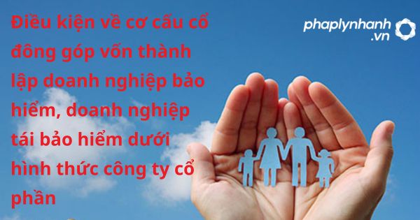 Điều kiện về cơ cấu cổ đông góp vốn thành lập doanh nghiệp bảo hiểm, doanh nghiệp tái bảo hiểm dưới hình thức công ty cổ phần theo luật kinh doanh bảo hiểm 2022? 26 Điều kiện về cơ cấu cổ đông góp vốn thành lập doanh nghiệp bảo hiểm, doanh nghiệp tái bảo hiểm dưới hình thức công ty cổ phần - hỗ trợ, tư vấn pháp lý nhanh
