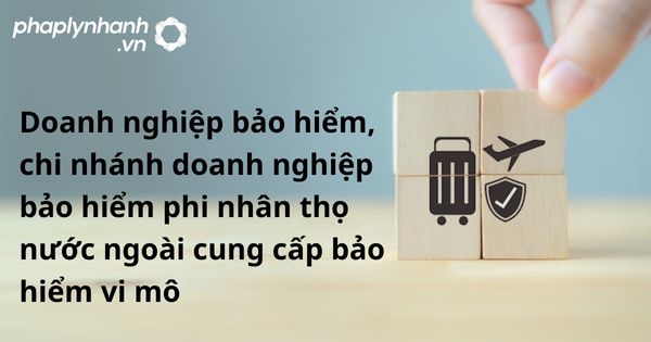 Doanh nghiệp bảo hiểm, chi nhánh doanh nghiệp bảo hiểm phi nhân thọ nước ngoài cung cấp bảo hiểm vi mô - hỗ trợ, tư vấn pháp lý nhanh