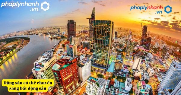 Quyền và nghĩa vụ của tổ chức, cá nhân tham gia sàn giao dịch bất động sản 10 Cấp sổ đỏ cho condotel-tư vấn, hỗ trợ pháp lý nhanh