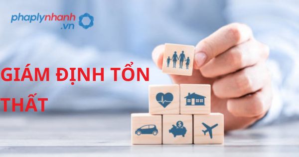 Quy định về giám định tổn thất theo luật kinh doanh bảo hiểm 2022? 1 GIÁM ĐỊNH TỔN THẤT - HỖ TRỢ, TƯ VẤN PHÁP LÝ NHANH