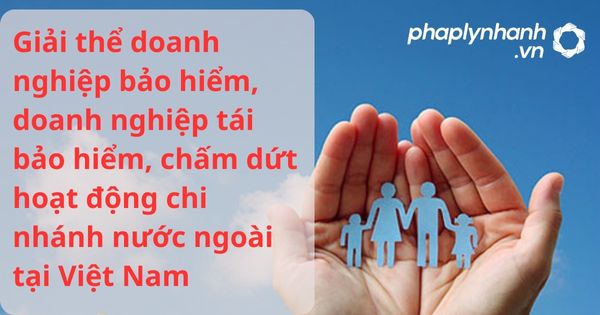 Giải thể doanh nghiệp bảo hiểm, doanh nghiệp tái bảo hiểm, chấm dứt hoạt động chi nhánh nước ngoài tại Việt Nam theo luật kinh doanh bảo hiểm 2022? 1 Giải thể doanh nghiệp bảo hiểm, doanh nghiệp tái bảo hiểm, chấm dứt hoạt động chi nhánh nước ngoài tại Việt Nam - hỗ trợ, tư vấn pháp lý nhanh