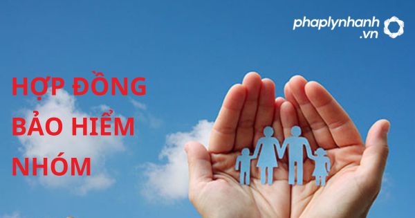 Hợp đồng bảo hiểm nhóm theo luật kinh doanh bảo hiểm 2022? 17 HỢP ĐỒNG BẢO HIỂM NHÓM - HỖ TRỢ, TƯ VẤN PHÁP LÝ NHANH